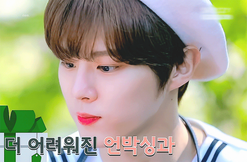 김우석 강아지 따따랑 둘째봐... 가족사진 찍은 게 분명해 귀여워 죽어 | 인스티즈