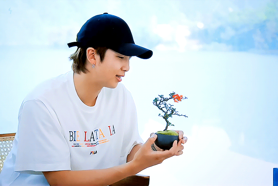 [잡담] 매화아기보면서 힐링하걸아 | 인스티즈