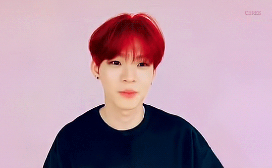 퓨즈들 들어오지마 | 인스티즈