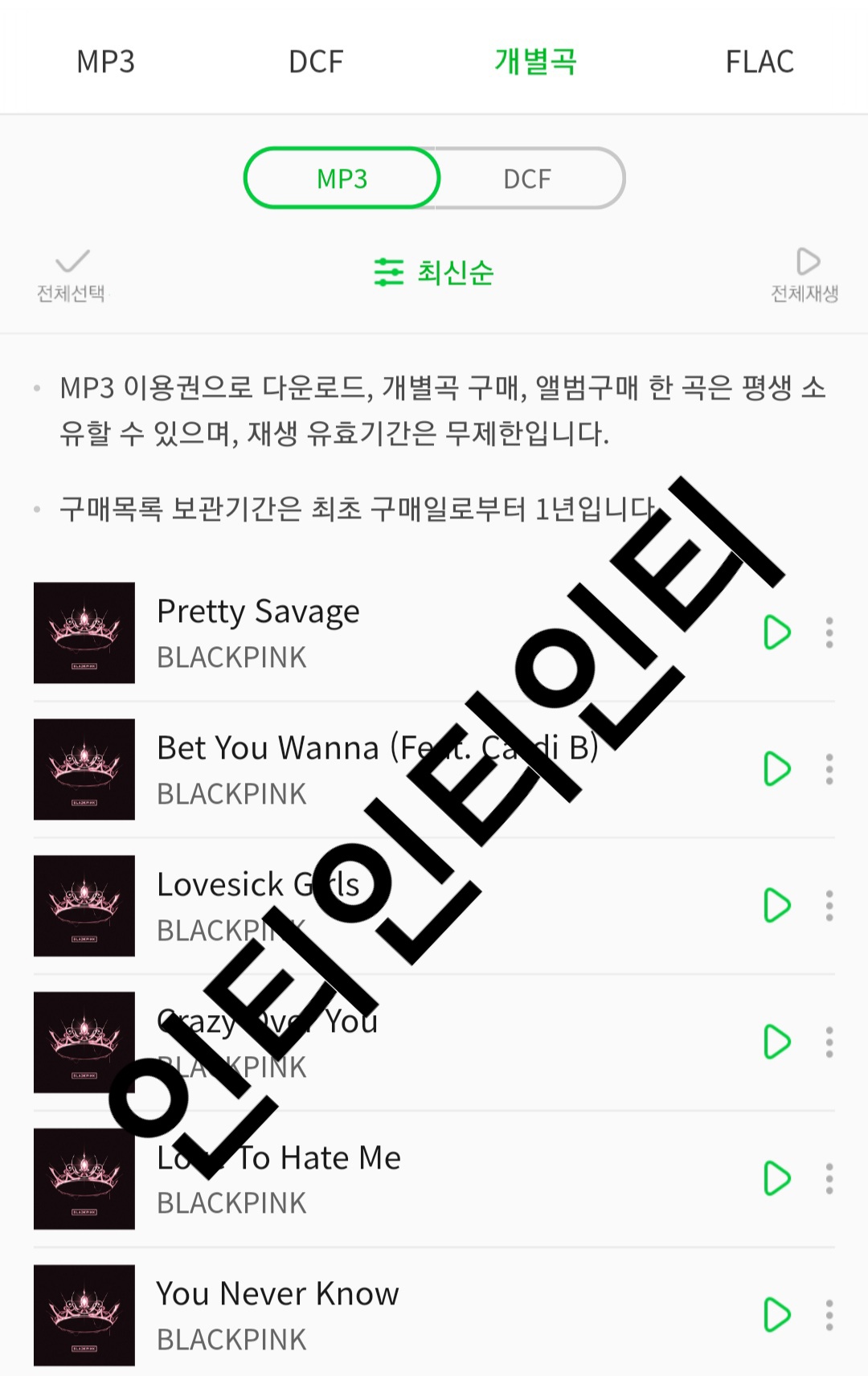 타팬 블랙핑크 전곡 다운함 ㅎㅎ; | 인스티즈