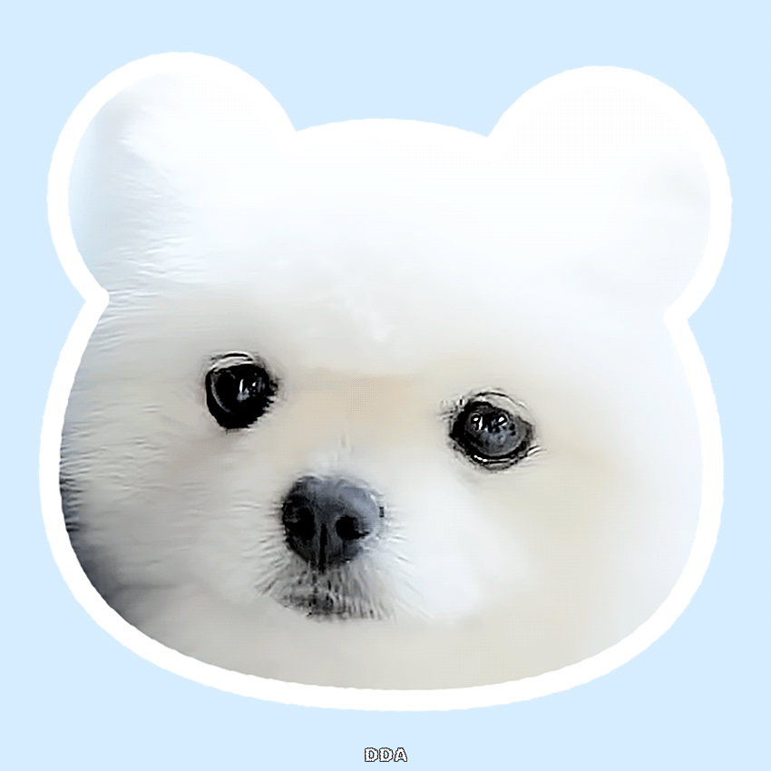 이거 ㄹㅇ 따따익선 | 인스티즈