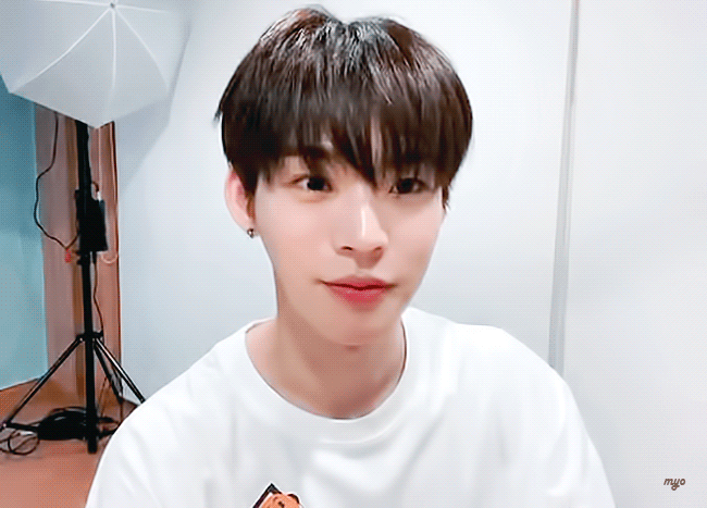 퓨즈들 들어오지마 | 인스티즈