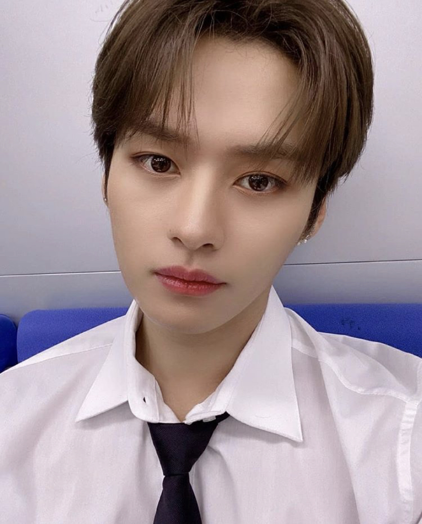 스테이 놀리는게 가장 즐거운 이리노... 그의 전적... | 인스티즈