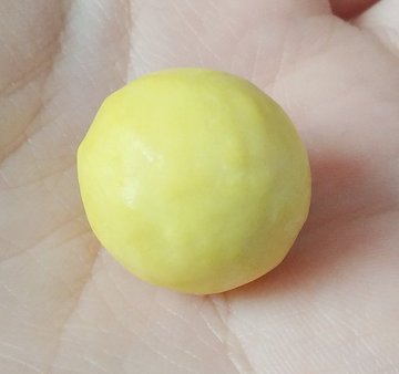 디노 이거랑 똑같이 생겼어 | 인스티즈