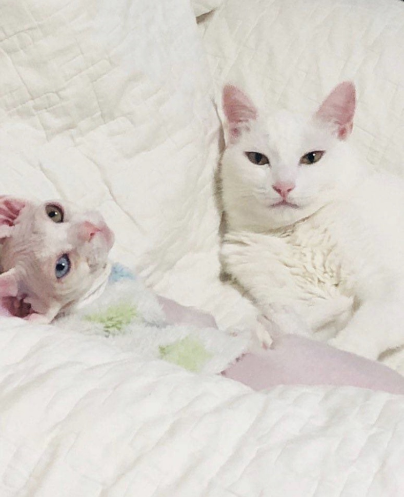 hoxy 어제 트레저 준규가 올린 앵두 루비 못본 익들 있뉘? | 인스티즈