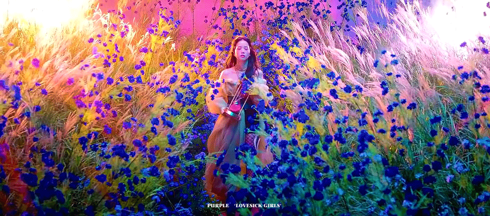 와씨 블핑 뮤비 치여서 짤 엄청 모아옴 너무 예뻐 | 인스티즈