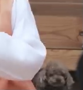 트레저맵 추석특집에 농담아니고 진짜 강아지 있었음 | 인스티즈