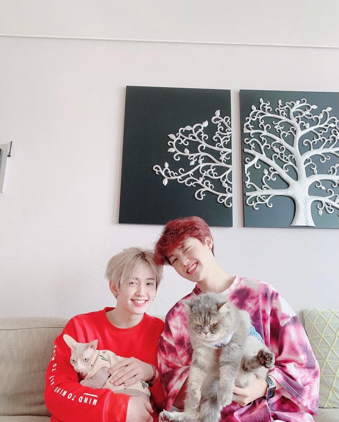 트레저 멤들의 반려동물들 보니까 | 인스티즈