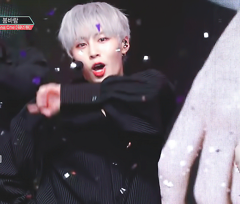 찾아왔다 하성운 팬아저 | 인스티즈