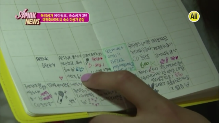 에이핑크 데뷔초 다이어리(진짜 다이어리) | 인스티즈