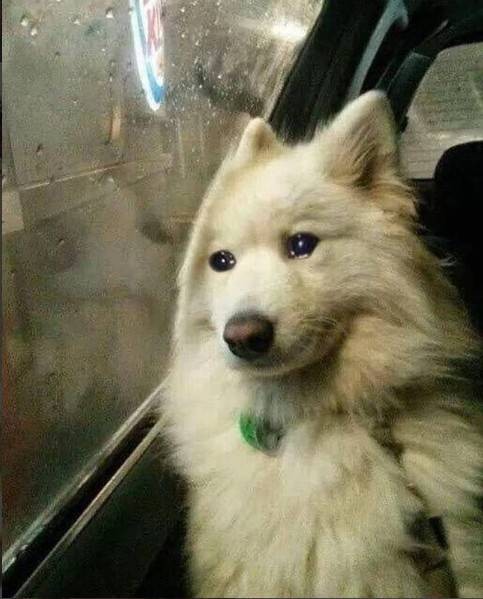 하 진짜 구라아니고 인피니트 콘서트 노잼임 | 인스티즈