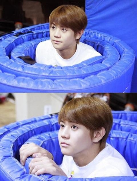 그시절 양요섭 좋아했으면 배경화면ㅋㅋ | 인스티즈