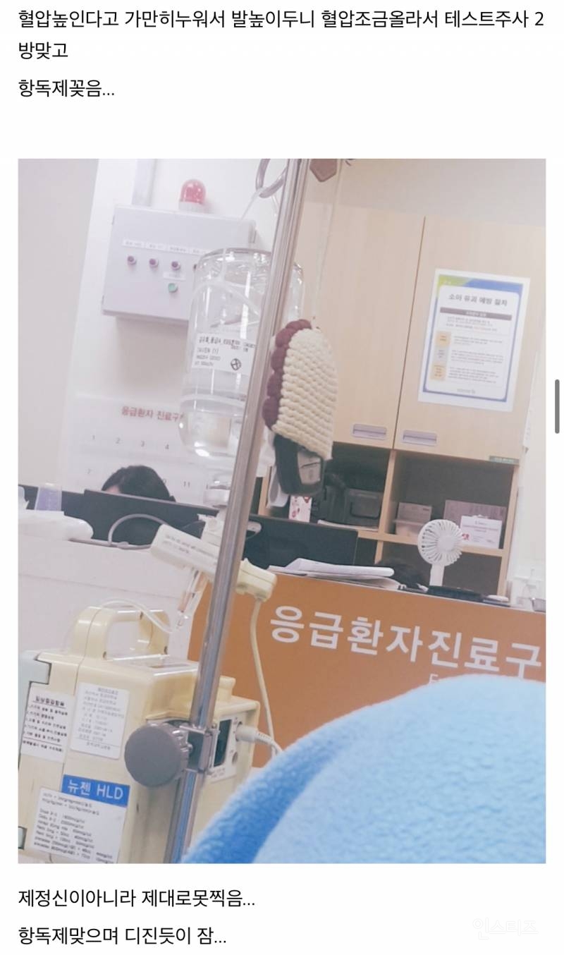 산책하다가 뱀에 물린 디씨인.jpg (혐오주의) | 인스티즈