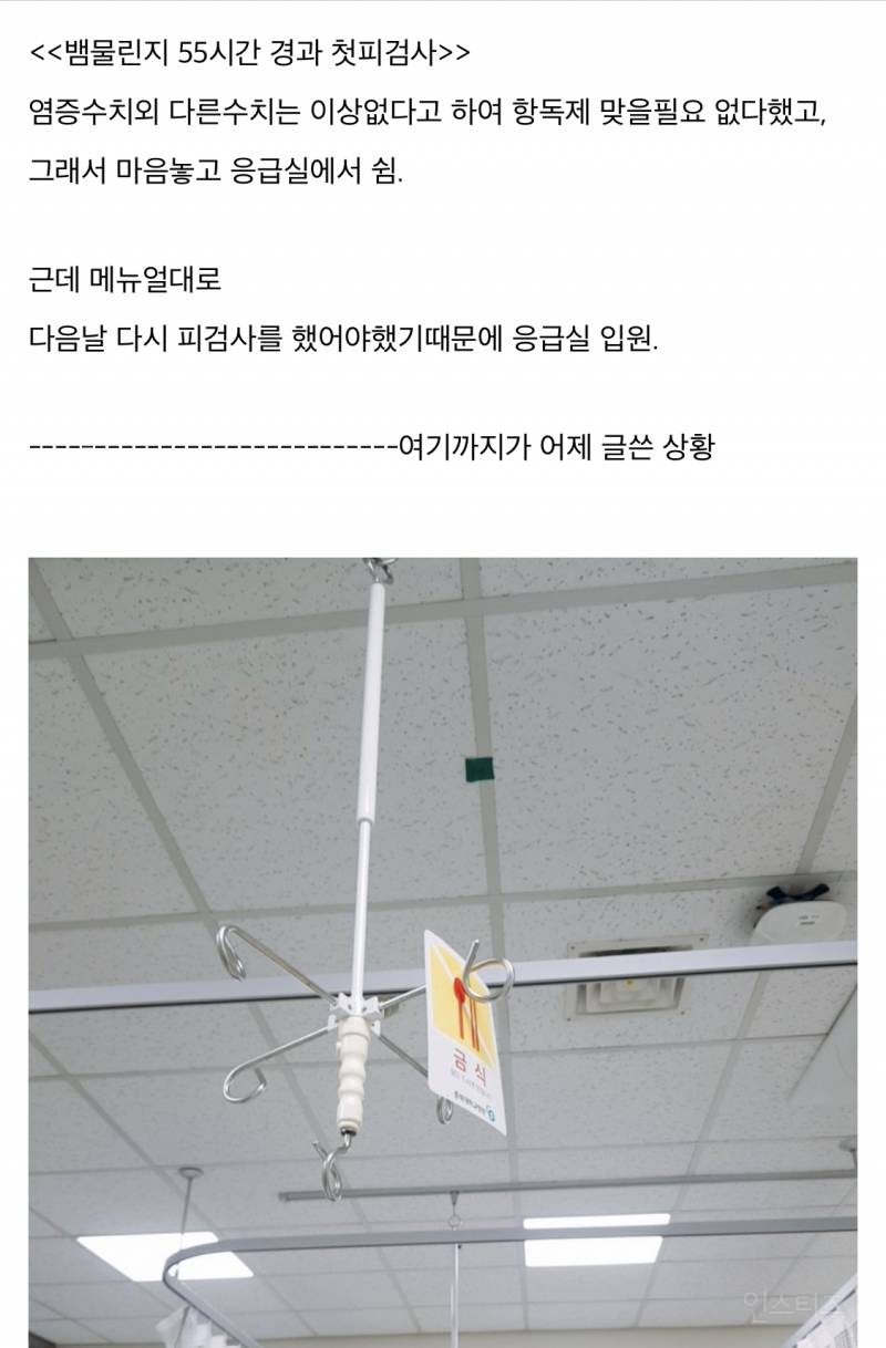 산책하다가 뱀에 물린 디씨인.jpg (혐오주의) | 인스티즈