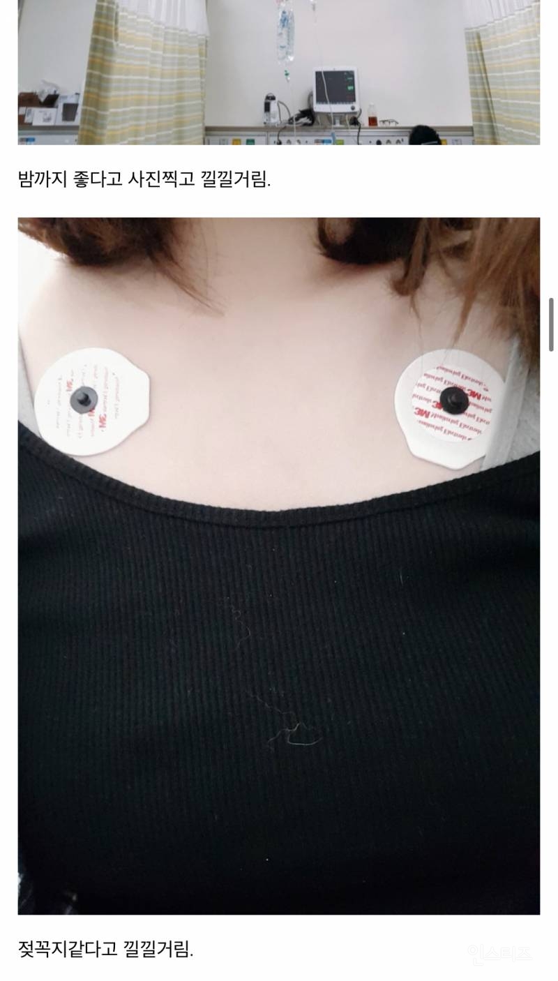 산책하다가 뱀에 물린 디씨인.jpg (혐오주의) | 인스티즈