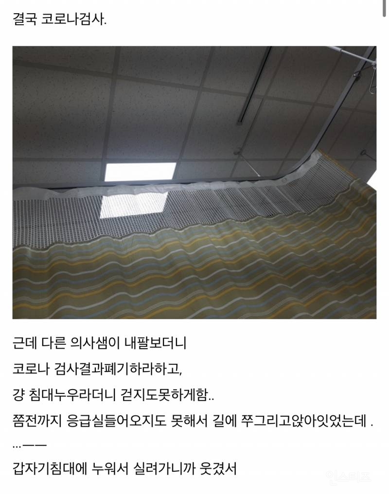 산책하다가 뱀에 물린 디씨인.jpg (혐오주의) | 인스티즈