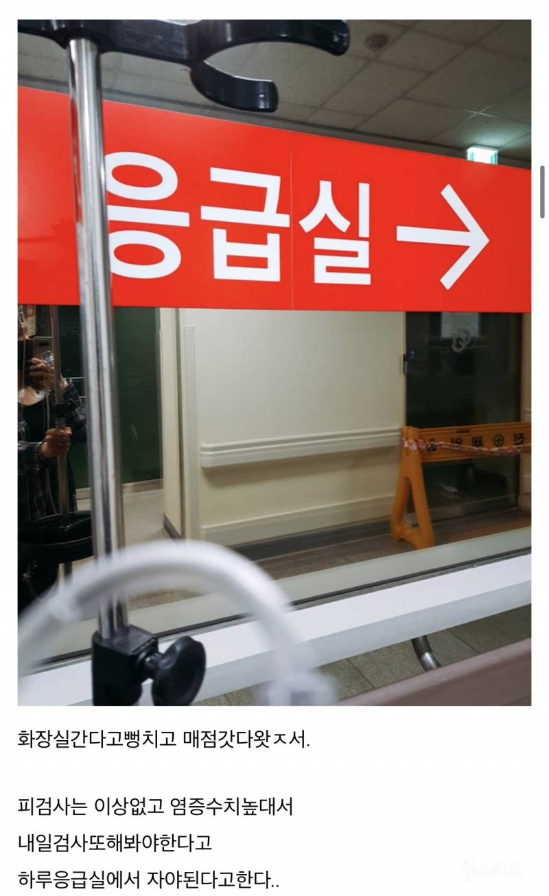 산책하다가 뱀에 물린 디씨인.jpg (혐오주의) | 인스티즈