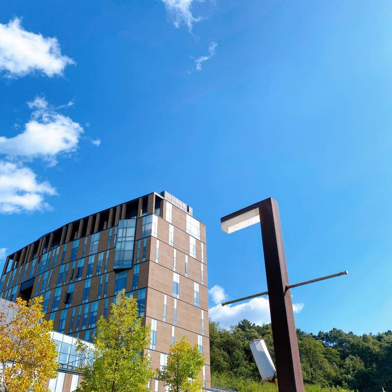 와 아까 학교 가서 대충 사진 찍었는데 너무 잘나왔다 | 인스티즈