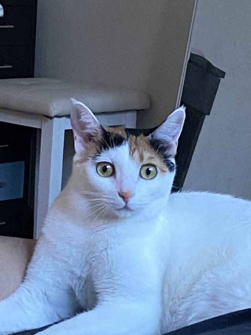 나 하나 자랑해도 돼? | 인스티즈