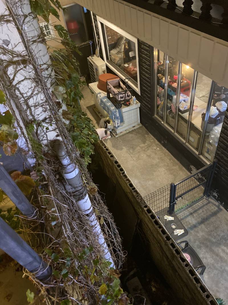 카페 왔는데 두꺼비 소리가 들리는거야 | 인스티즈