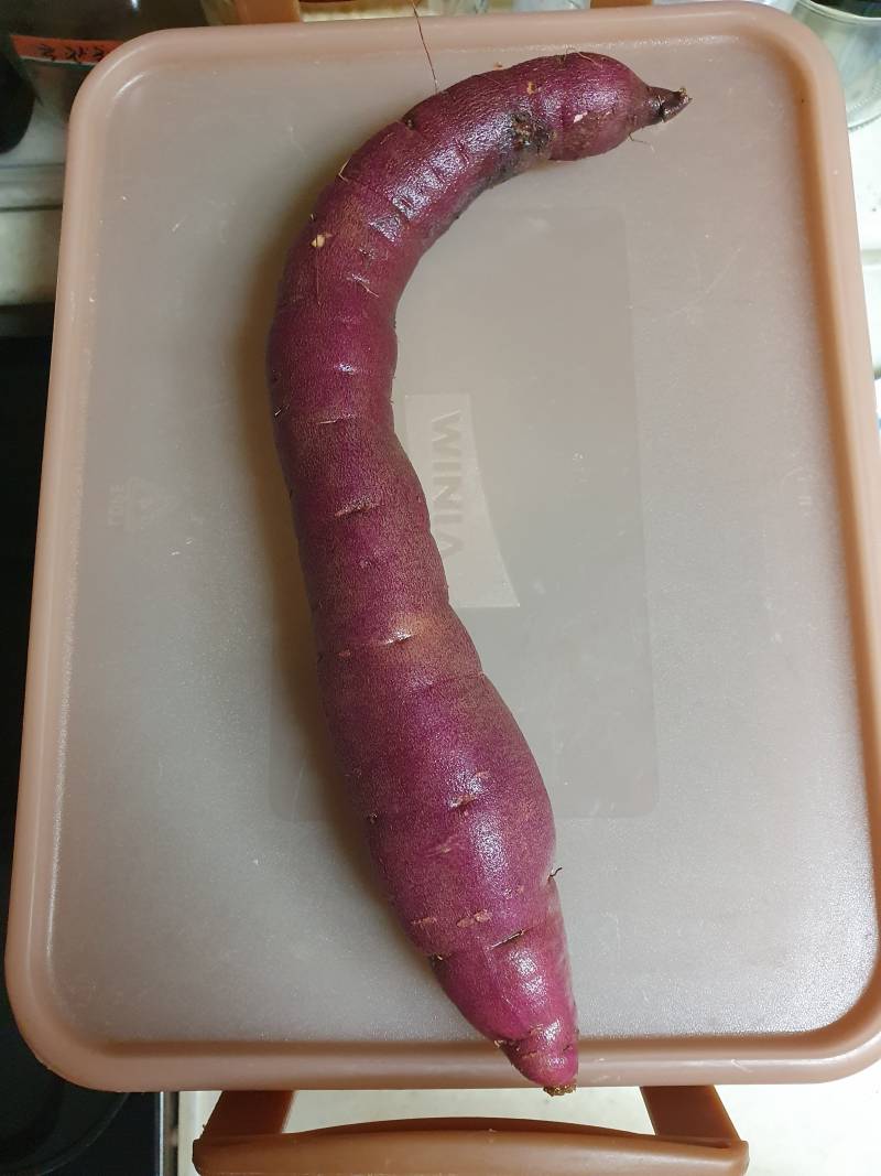 우리 집 고구마보다 긴 고구마 나와 | 인스티즈