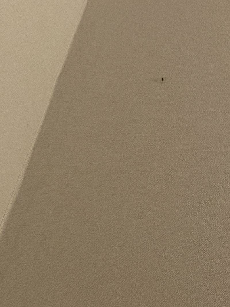 내가 지금 얼마나 귀찮냐면 | 인스티즈