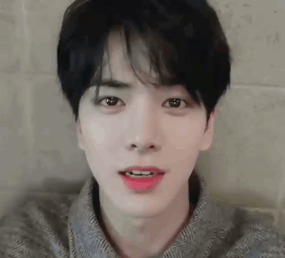 [잡담] 고요한 새벽, 덥뮤다 얼굴 구경하고 가세요 | 인스티즈