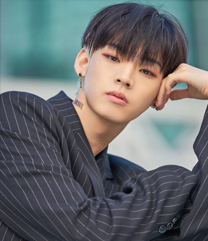 내가 사랑하는 스컹크❤ | 인스티즈