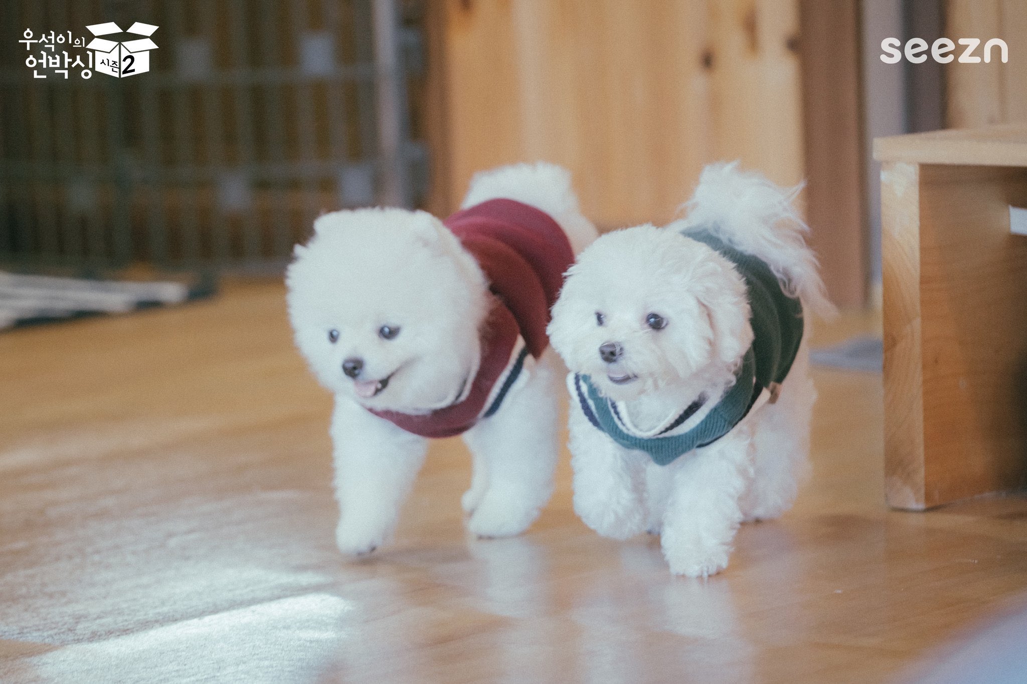 김우석이 새로 키우기 시작했다는 강아지 봐 미쳤어 | 인스티즈