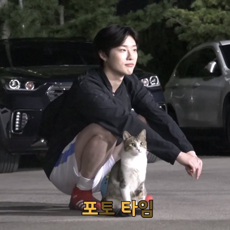 조승연 고양이 알러지있어서 팔꿈치로 고양이 쓰다듬는겈ㅋ큐ㅠㅠㅠ | 인스티즈