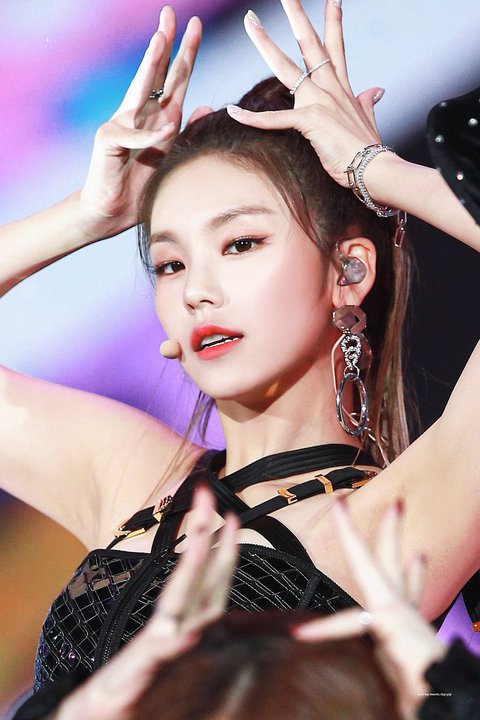 얘넨 진짜 앞으로 옆으로 뒤로 굴러도 제왑돌인 거 알겠다 | 인스티즈