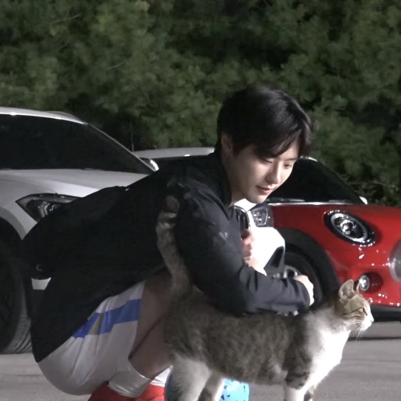 조승연 고양이 알러지있어서 팔꿈치로 고양이 쓰다듬는겈ㅋ큐ㅠㅠㅠ | 인스티즈