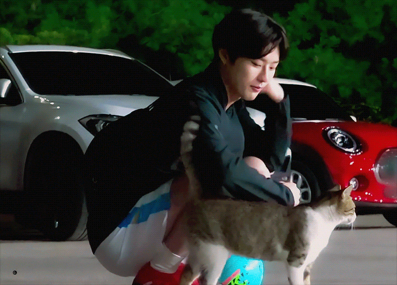 조승연 고양이알레르기 있어서 | 인스티즈