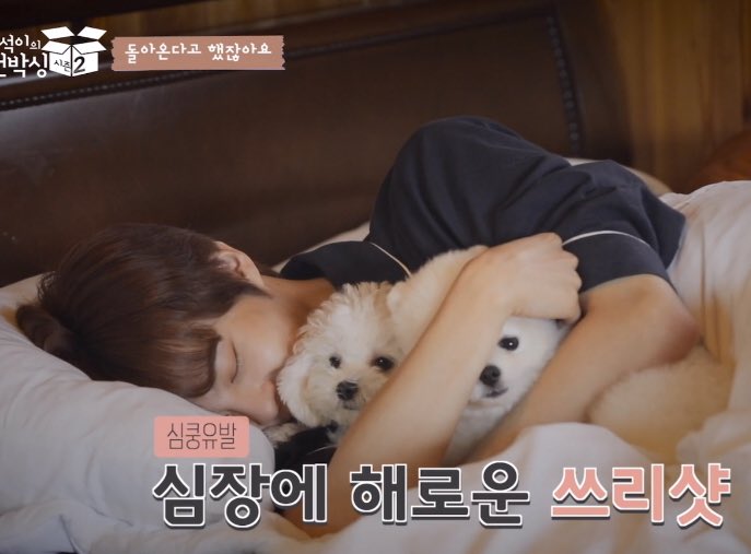 김우석 따따 따동 셋사이에 끼고싶다 나도 | 인스티즈