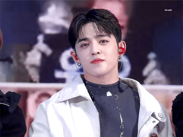 난 진짜 세븐틴 팬들 봉크로들 대단하다고 생각해 | 인스티즈