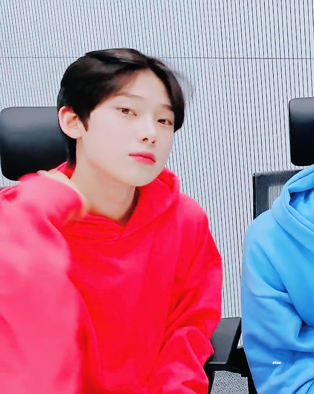 나 진짜 여우상 처돌이인데 요즘 얘한테 미쳐 사는 중 | 인스티즈