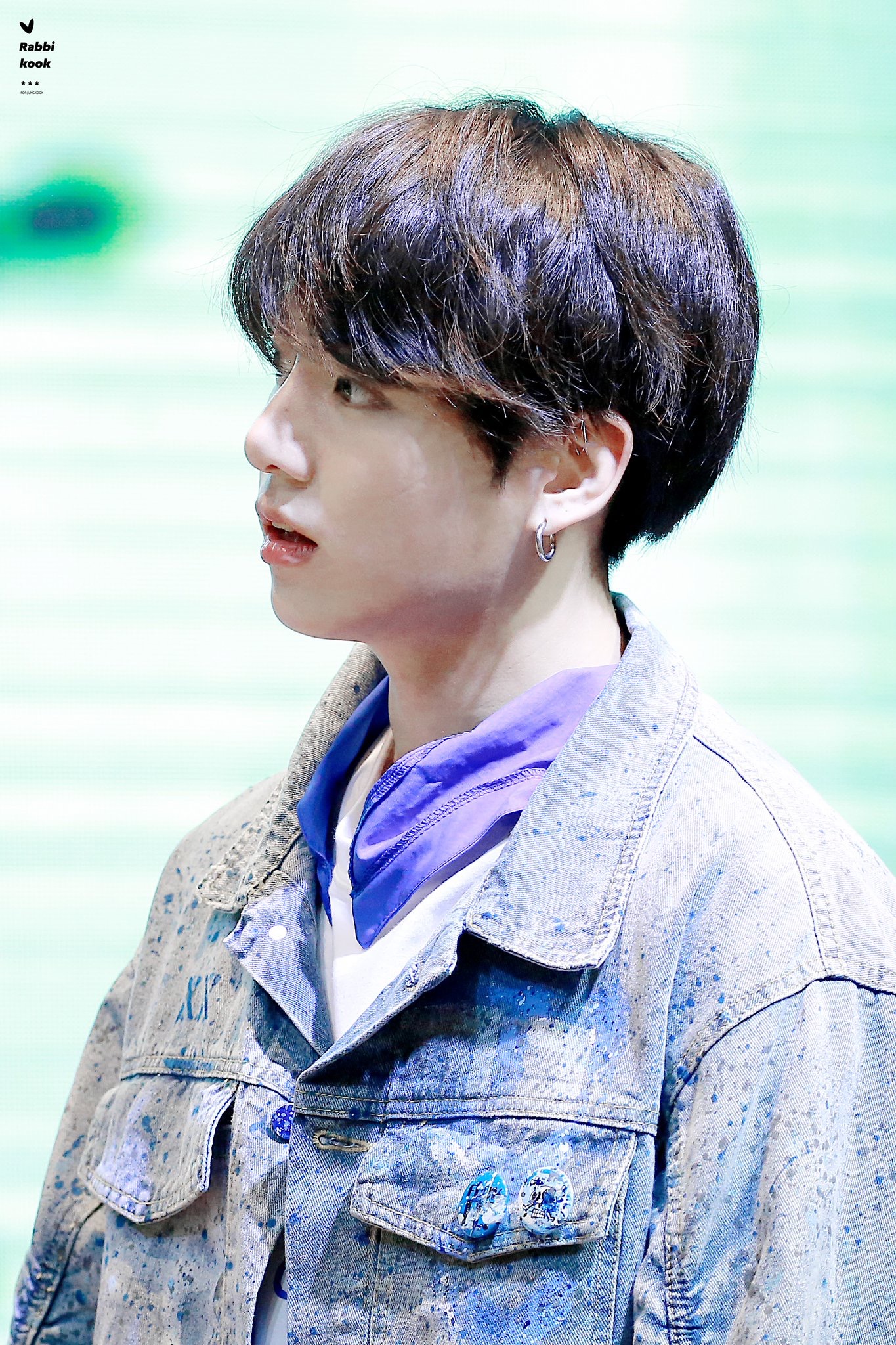 내가 좋아하는 청초 토끼들 🐰 | 인스티즈