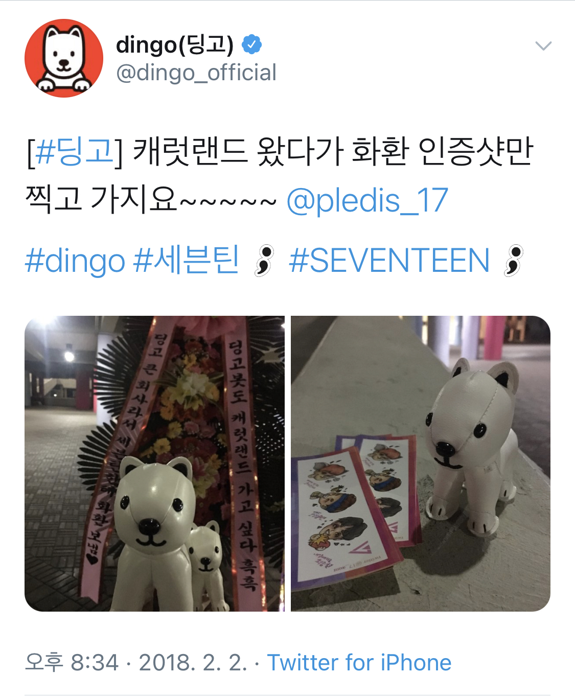 세븐틴 딩고 첫촬영한 날 바로 다음 촬영까지 섭외 당한거 진짜 대박임 완전 예쁨 받았어ㅋㅋㅋㅋㅋㅋㅋㅋ | 인스티즈