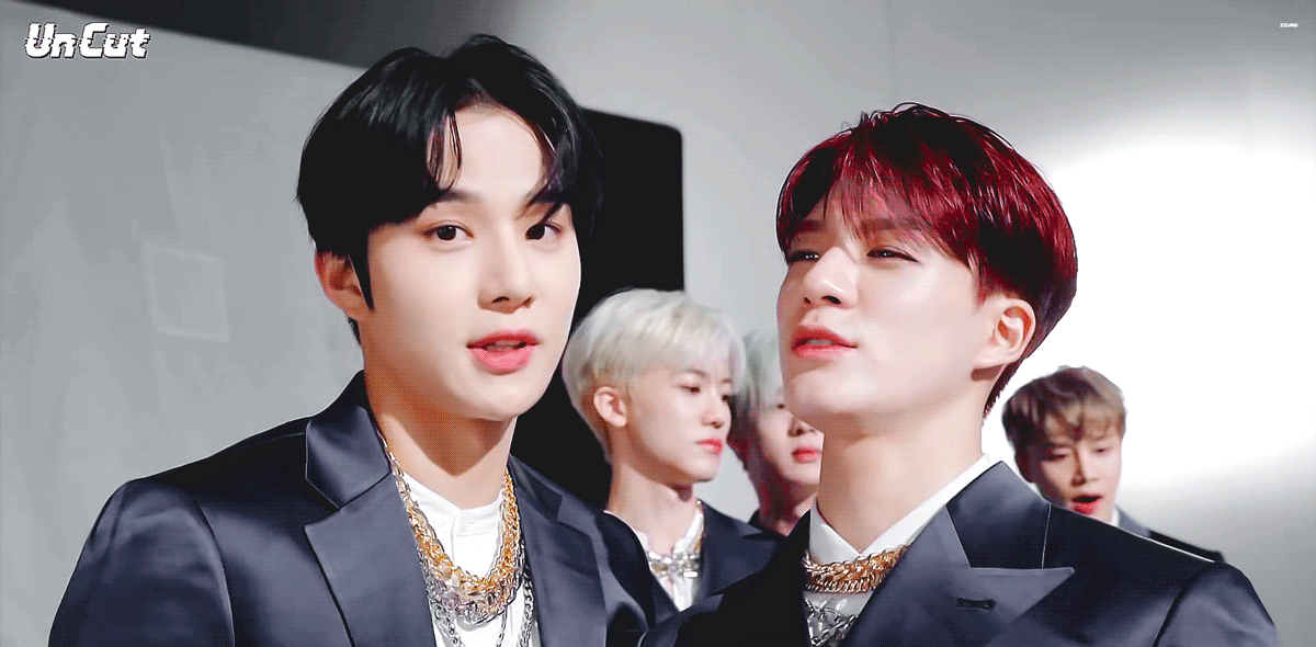 [잡담] 강아지 둘 🐶🐶 | 인스티즈