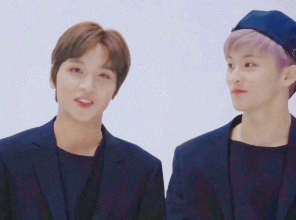 ㄱ 사빠곰이 나오면 사빠치가 나오는게 국룰 | 인스티즈