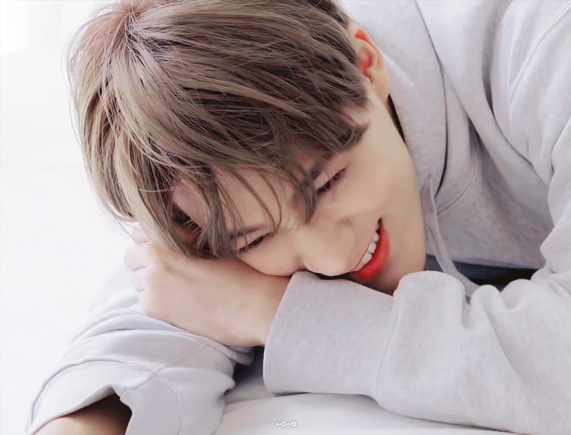 [잡담] 들튀 | 인스티즈