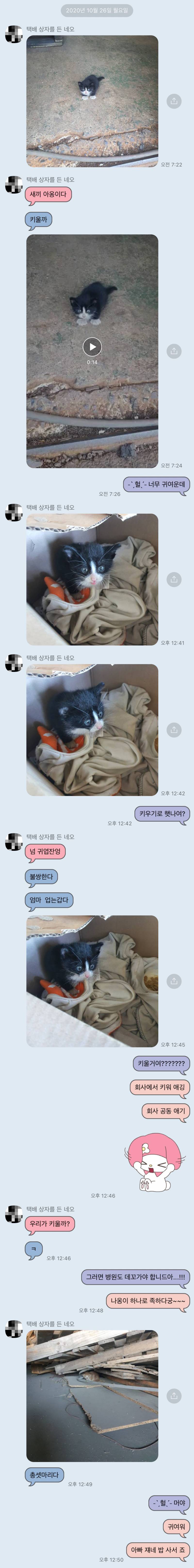 아빠 진짜 키우고 싶나봐 ㅠ | 인스티즈