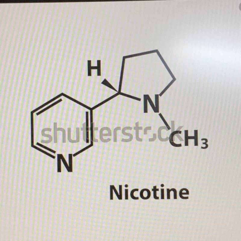 화학 잘 아는 익들ㅠㅠ 이거 니코틴 구조 맞아? | 인스티즈