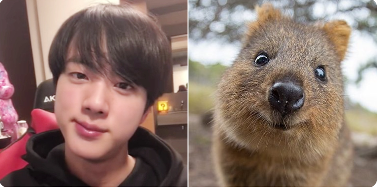 [잡담] 방탄 진 진짜 근본은 쿼카상이다 | 인스티즈