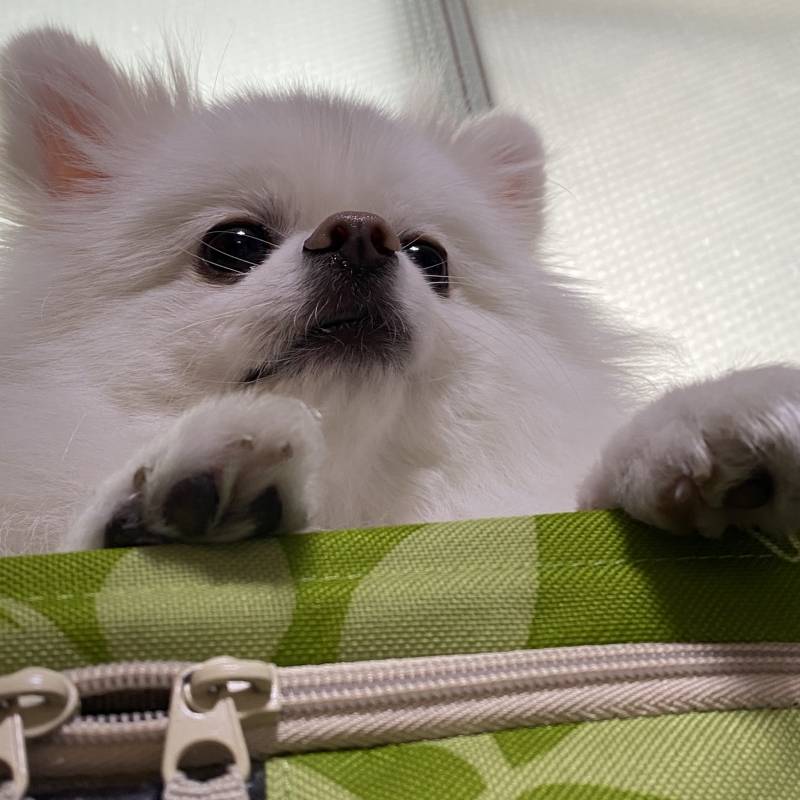 아니 얘들아 나 진짜 사진 하나만 (4개임) 자랑해도 될까 진짜 제발 | 인스티즈