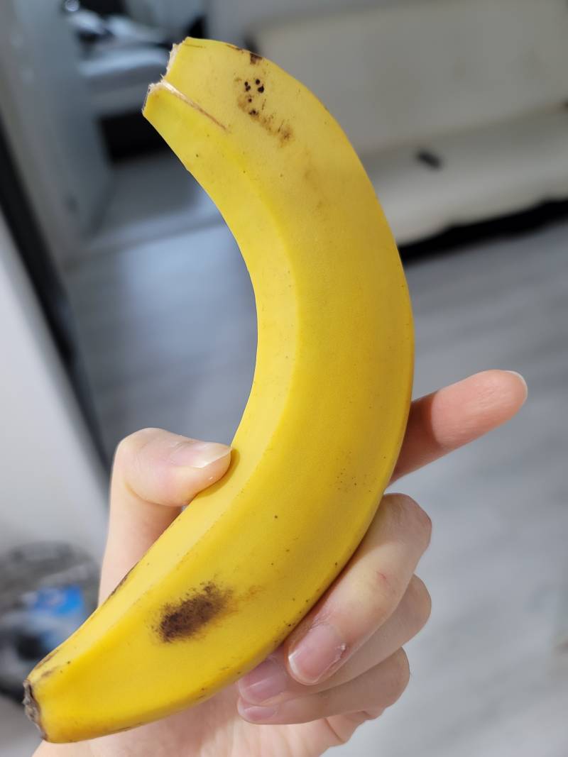 바나나 썩은건지 상한건지 봐주라ㅠㅠㅠㅠㅠㅠㅠㅠ!!!! | 인스티즈