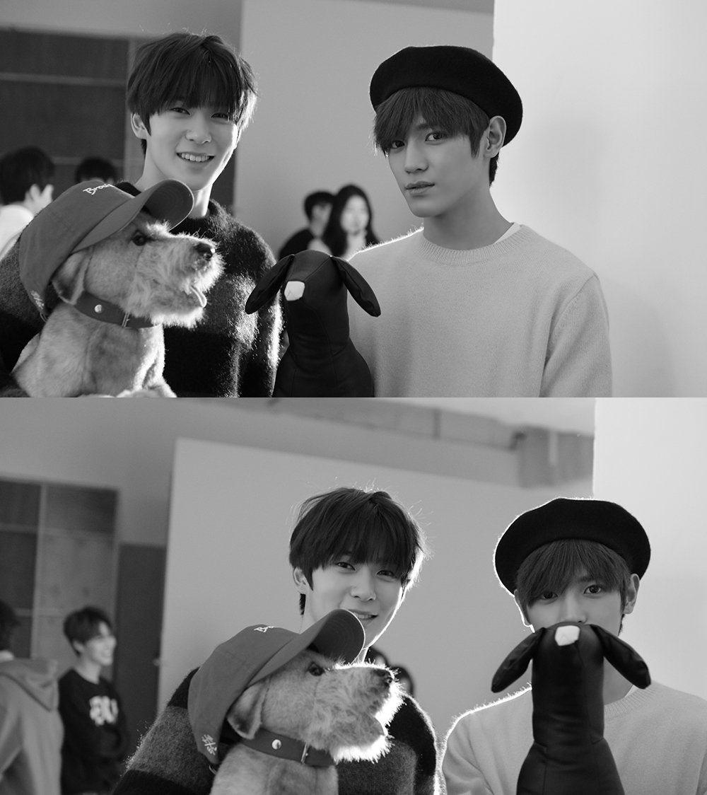 [정리글] 루키즈 태용잉 사진들 | 인스티즈