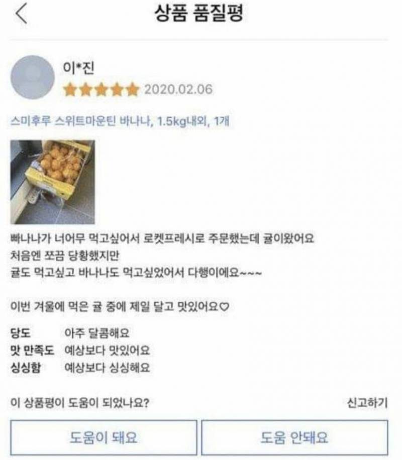 나도 이런 마인드로 살고 싶다ㅋㅋㅋㅋㅋ - 인스티즈(instiz) 일상 카테고리