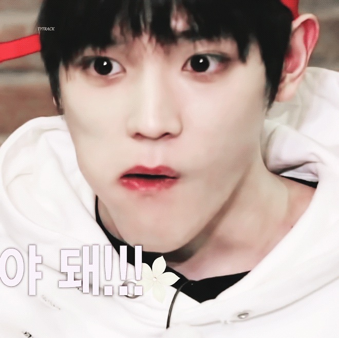 태용이 웃기고 귀엽고 작고 뽀짝한 짤 푼다(스압주의) | 인스티즈