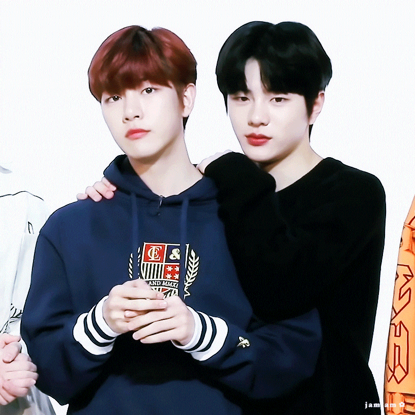 [잡담] 야야 골차들 말랑호랭이 여기 또있다 | 인스티즈